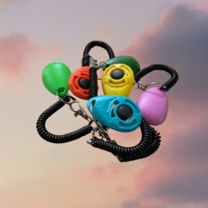 Clicker
